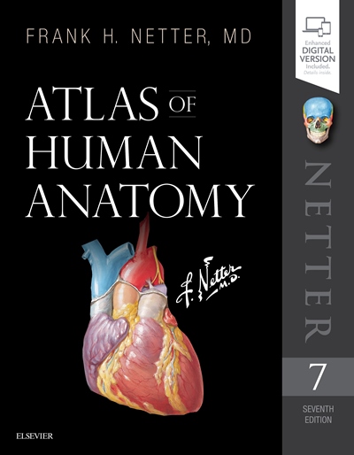 英文書】ATLAS OF ANATOMY （人体医学書）。-