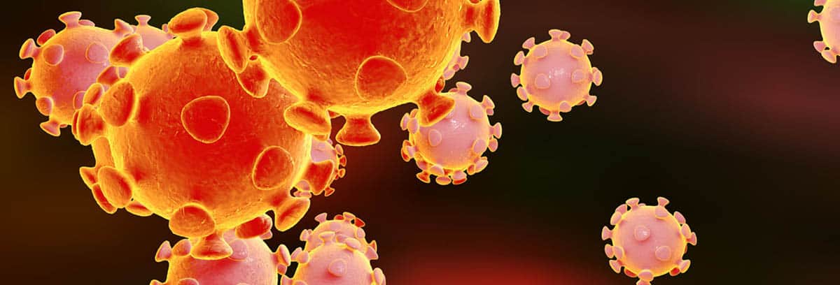 3D illustration of Coronavirus (© istock.com/Dr_Microbe)